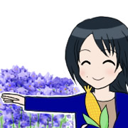 やすか