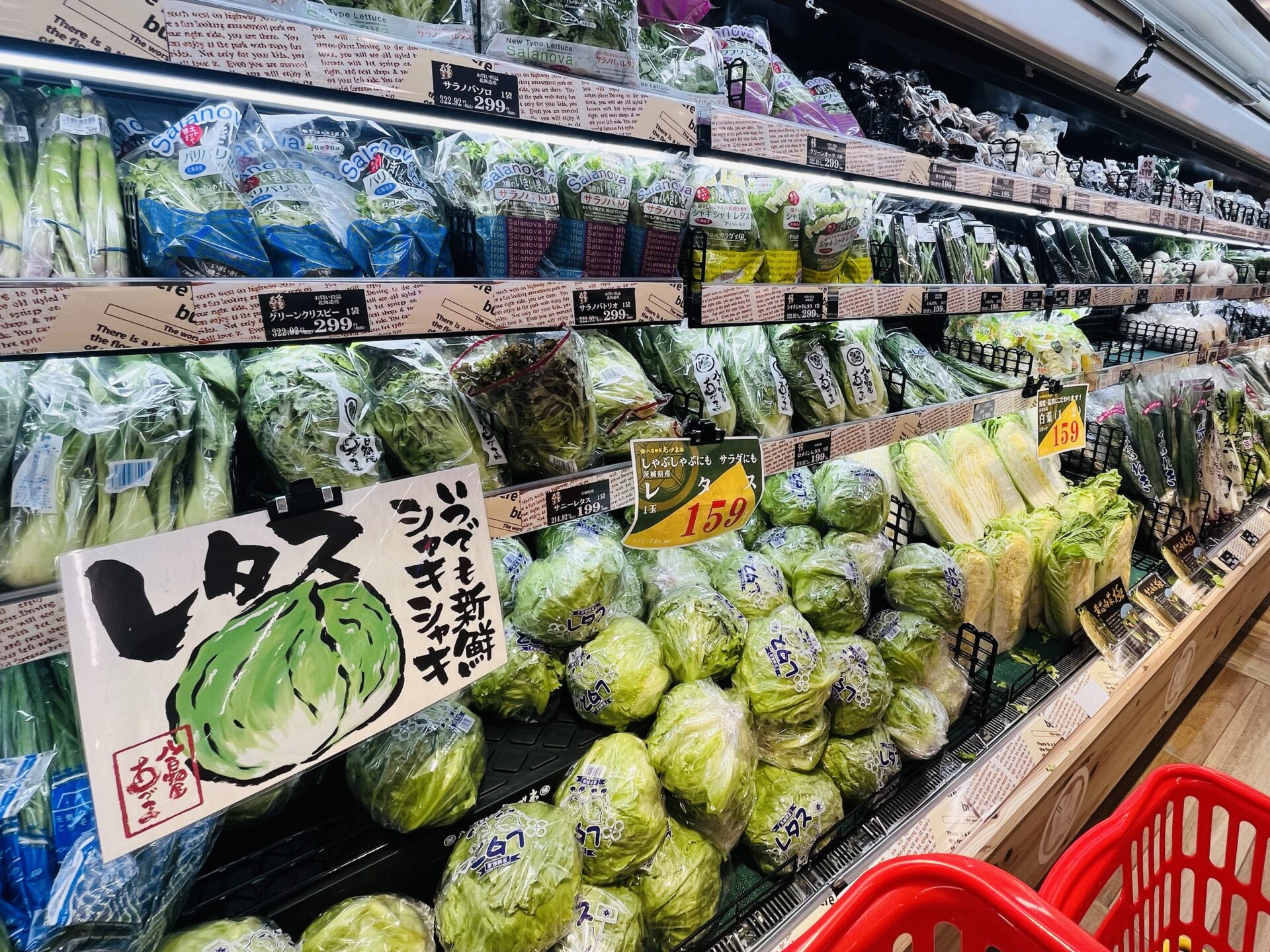 北海道1号店！食のテーマパーク「ロピア札幌屯田店」に行ってみた
